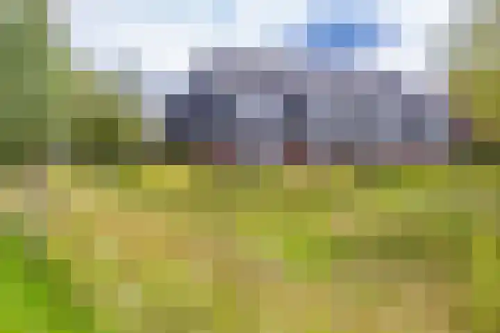 Honderdspint 23 Haren Gn thumbnail 4
