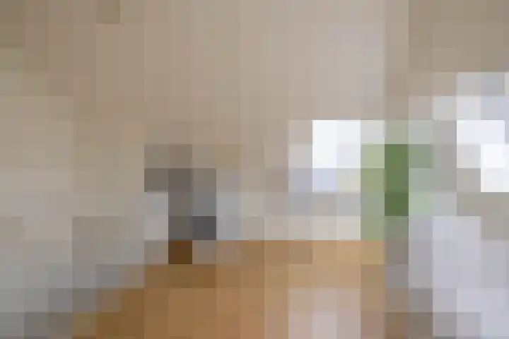 Honderdspint 23 Haren Gn thumbnail 41