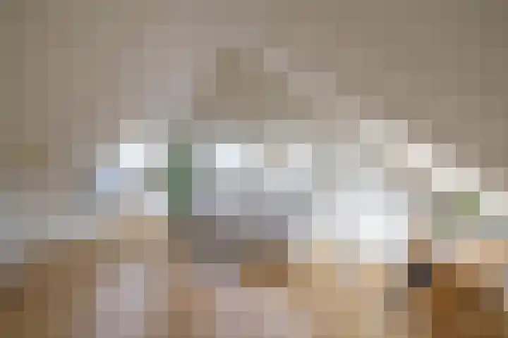 Honderdspint 23 Haren Gn thumbnail 42