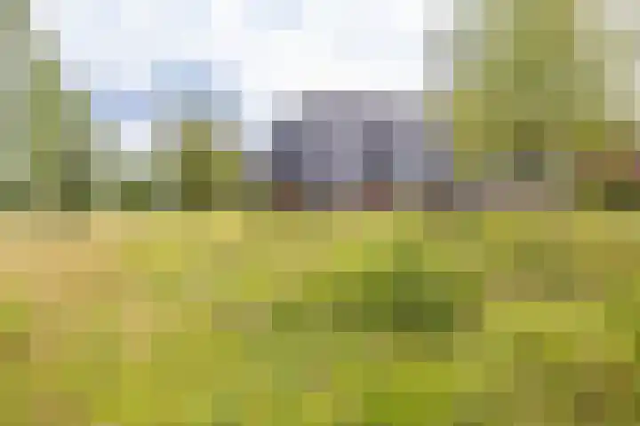 Honderdspint 23 Haren Gn thumbnail 44