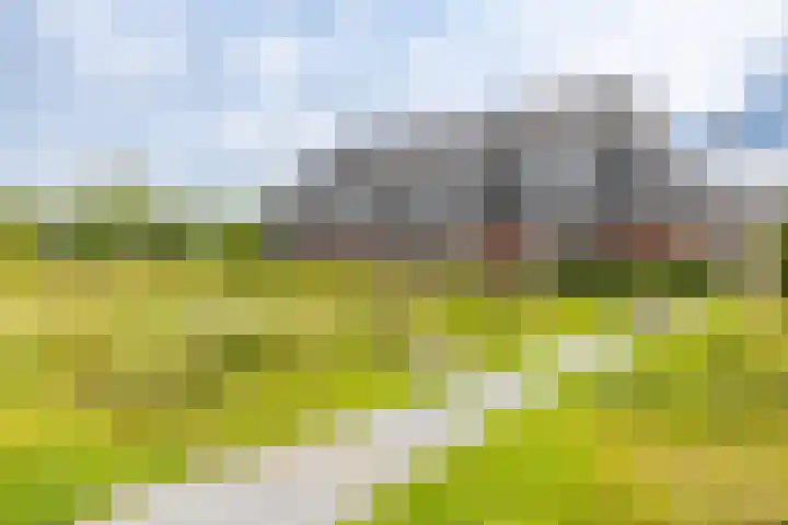 Honderdspint 23 Haren Gn thumbnail 45