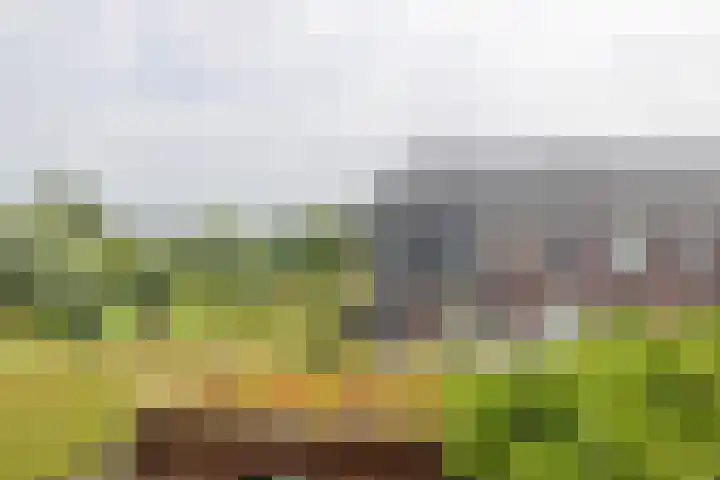 Honderdspint 23 Haren Gn thumbnail 46
