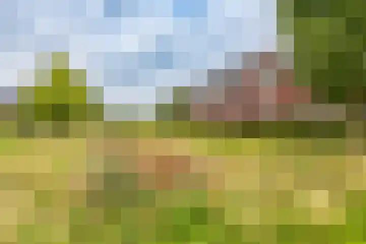 Honderdspint 23 Haren Gn thumbnail 47