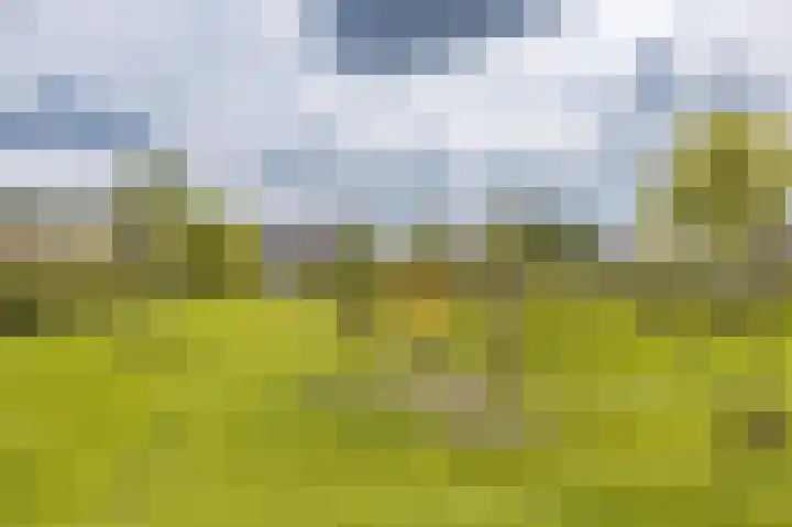 Honderdspint 23 Haren Gn thumbnail 48