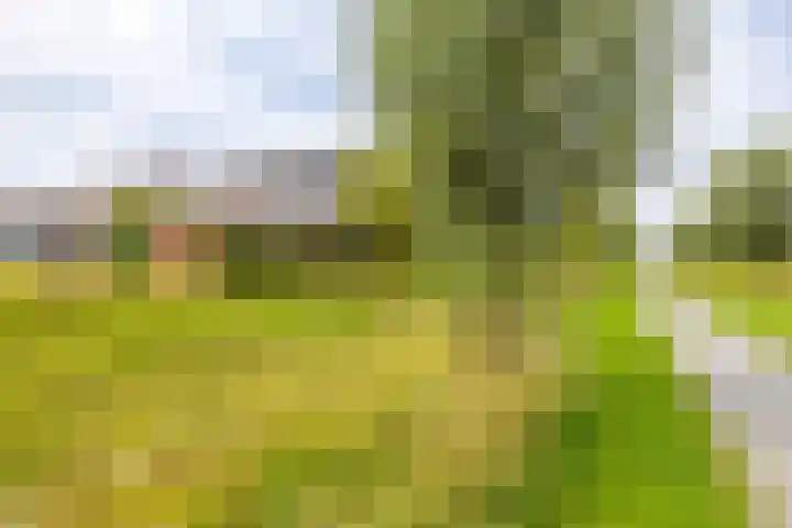 Honderdspint 23 Haren Gn thumbnail 49