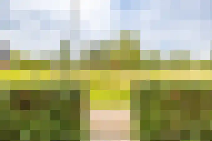 Honderdspint 23 Haren Gn thumbnail 5