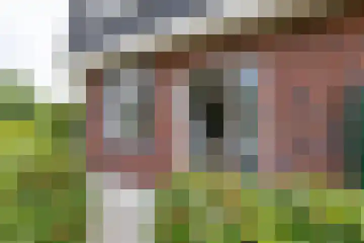 Honderdspint 23 Haren Gn thumbnail 6