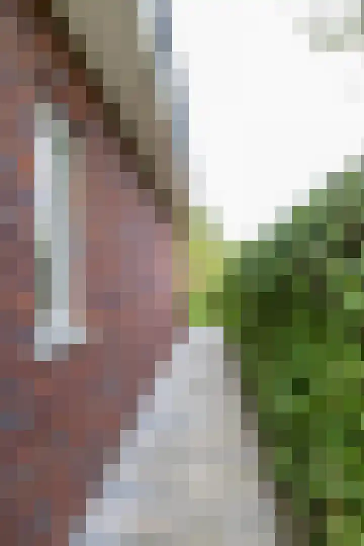 Honderdspint 23 Haren Gn thumbnail 7