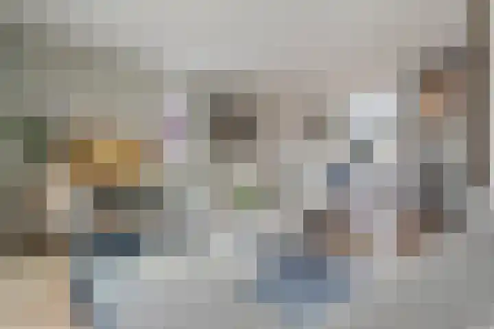 Honderdspint 9 Haren Gn thumbnail 12