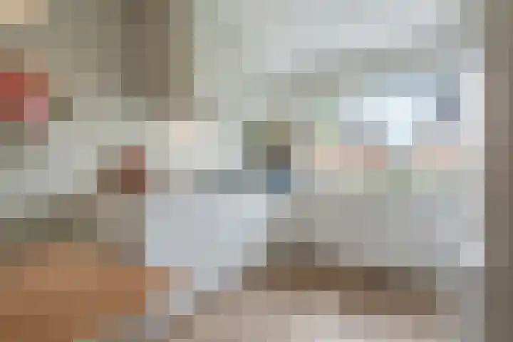 Honderdspint 9 Haren Gn thumbnail 18