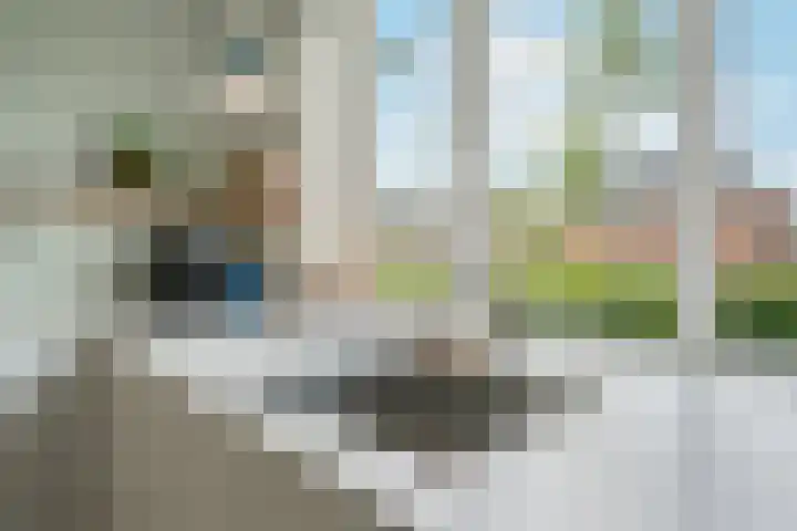 Honderdspint 9 Haren Gn thumbnail 21