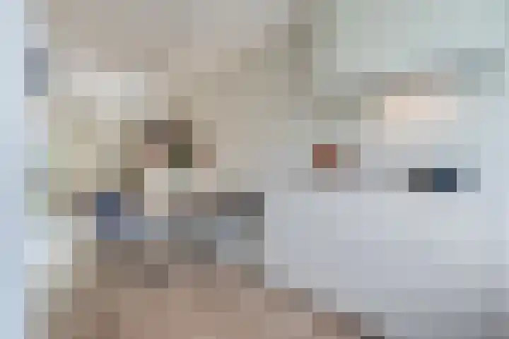 Honderdspint 9 Haren Gn thumbnail 22