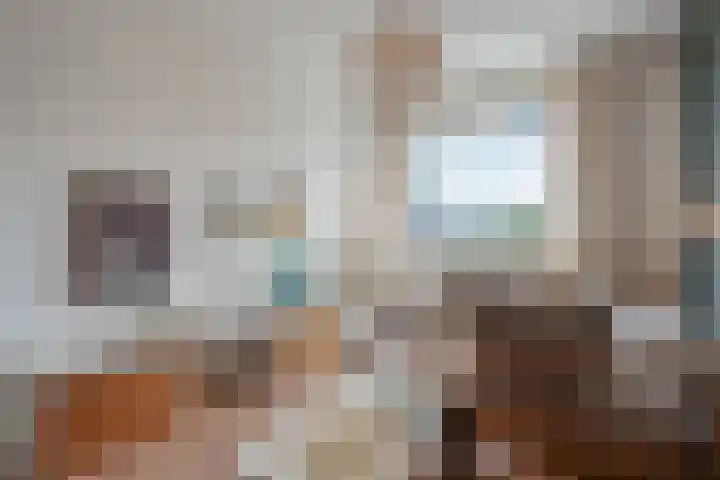 Honderdspint 9 Haren Gn thumbnail 28