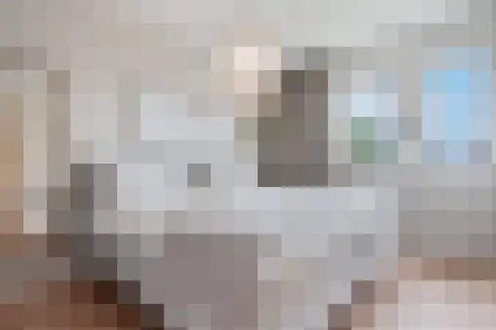 Honderdspint 9 Haren Gn thumbnail 29