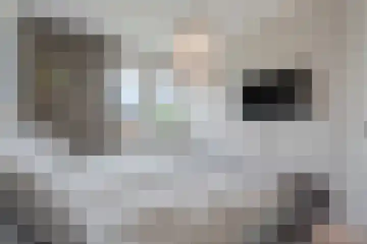 Honderdspint 9 Haren Gn thumbnail 30