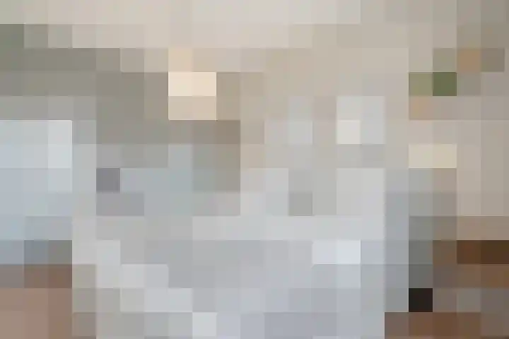 Honderdspint 9 Haren Gn thumbnail 31