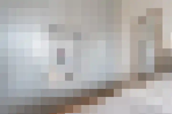 Honderdspint 9 Haren Gn thumbnail 32