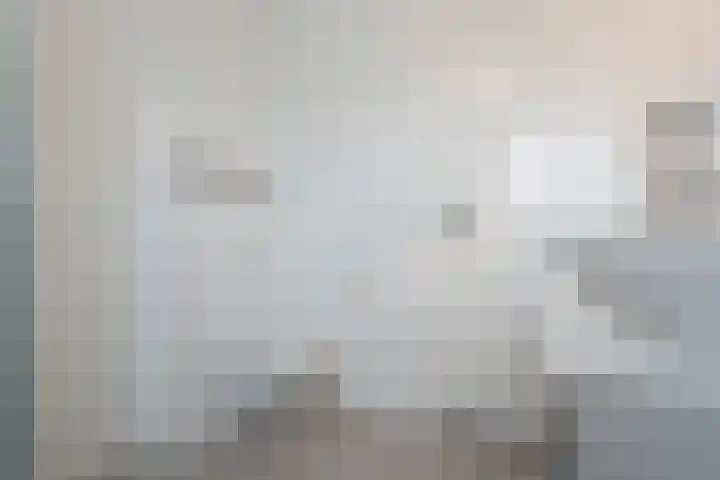 Honderdspint 9 Haren Gn thumbnail 35