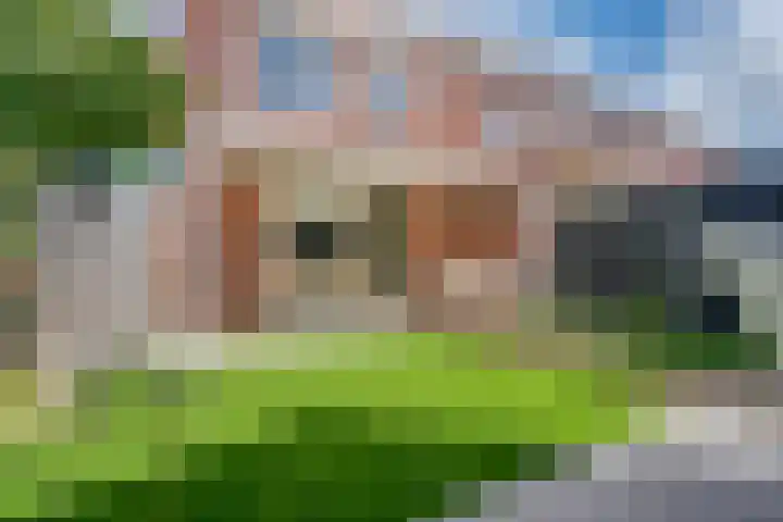 Honderdspint 9 Haren Gn thumbnail 4