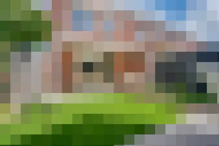 Honderdspint 9 Haren Gn thumbnail 40