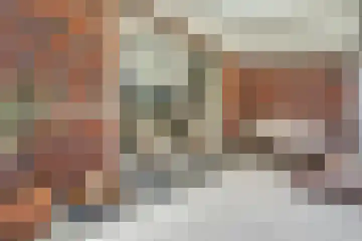 Honderdspint 9 Haren Gn thumbnail 42