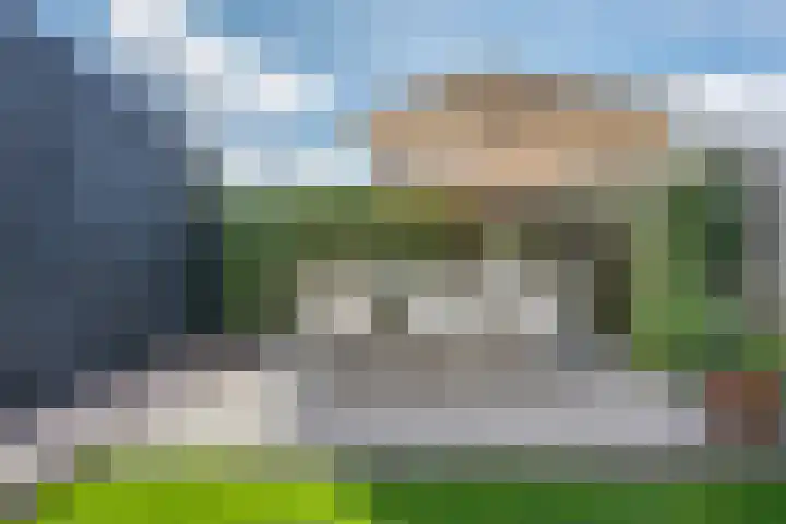 Honderdspint 9 Haren Gn thumbnail 44