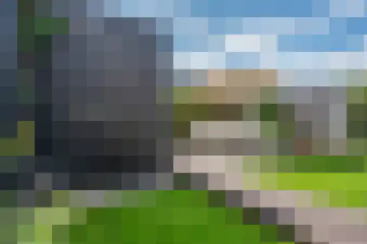 Honderdspint 9 Haren Gn thumbnail 45