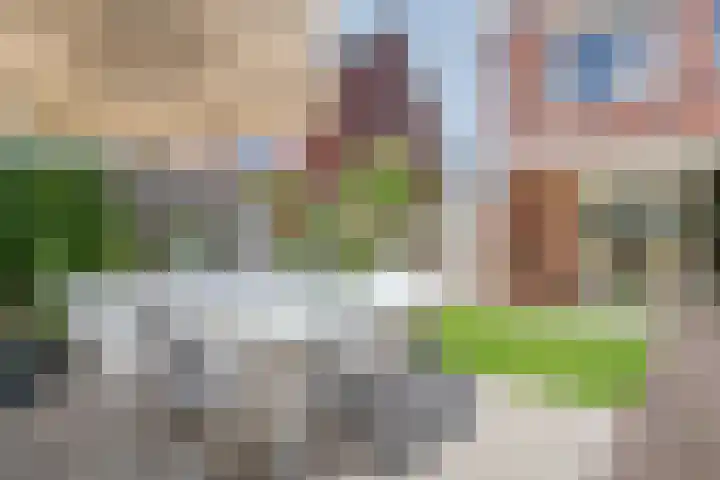 Honderdspint 9 Haren Gn thumbnail 46