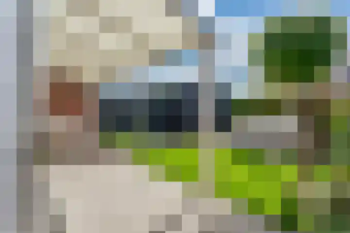 Honderdspint 9 Haren Gn thumbnail 47