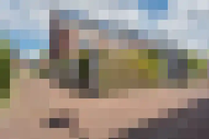 Honderdspint 9 Haren Gn thumbnail 48