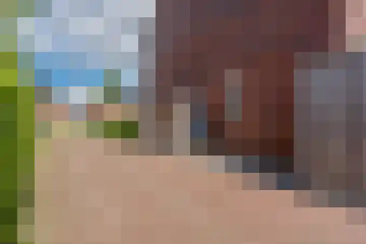 Honderdspint 9 Haren Gn thumbnail 49