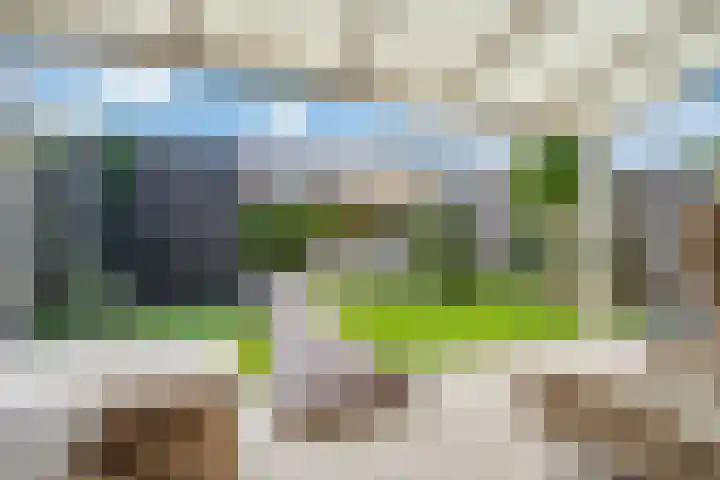Honderdspint 9 Haren Gn thumbnail 5