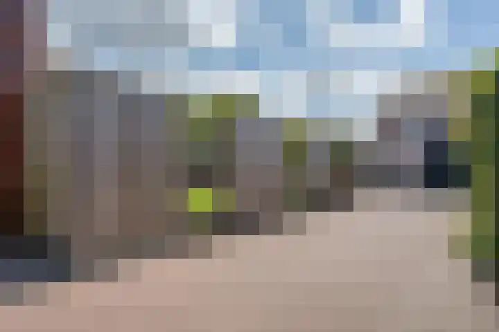 Honderdspint 9 Haren Gn thumbnail 50