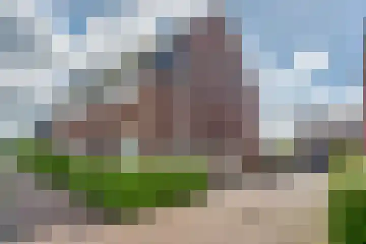 Honderdspint 9 Haren Gn thumbnail 51