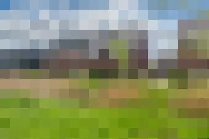 Honderdspint 9 Haren Gn thumbnail 52