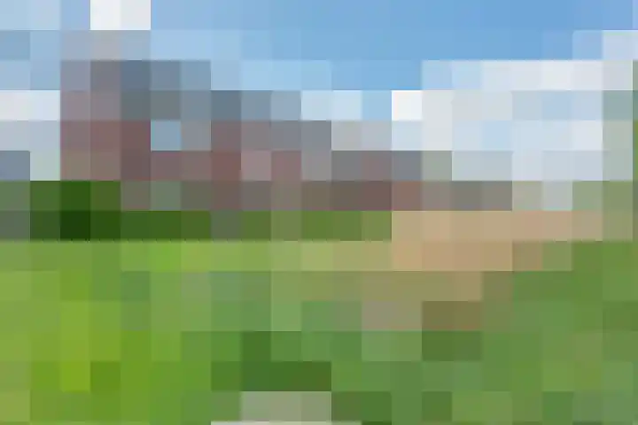Honderdspint 9 Haren Gn thumbnail 53