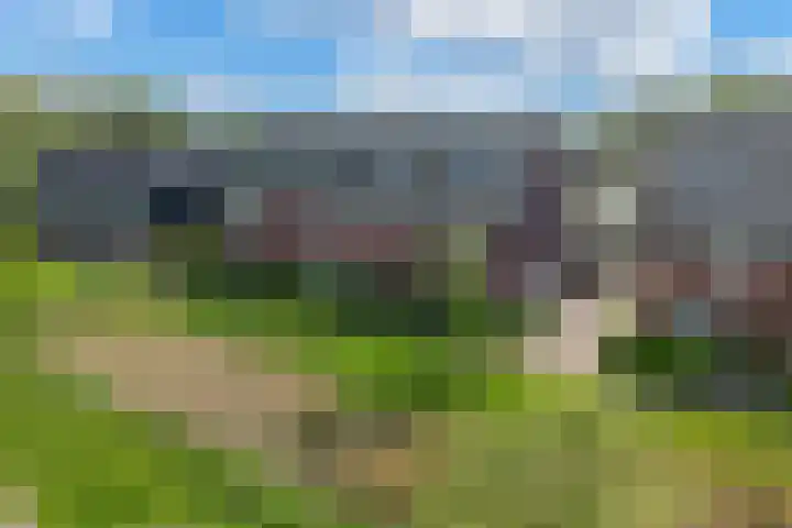 Honderdspint 9 Haren Gn thumbnail 54