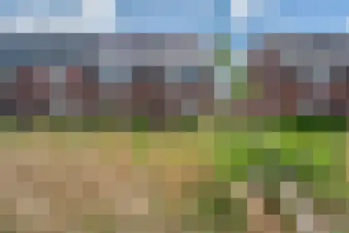 Honderdspint 9 Haren Gn thumbnail 7