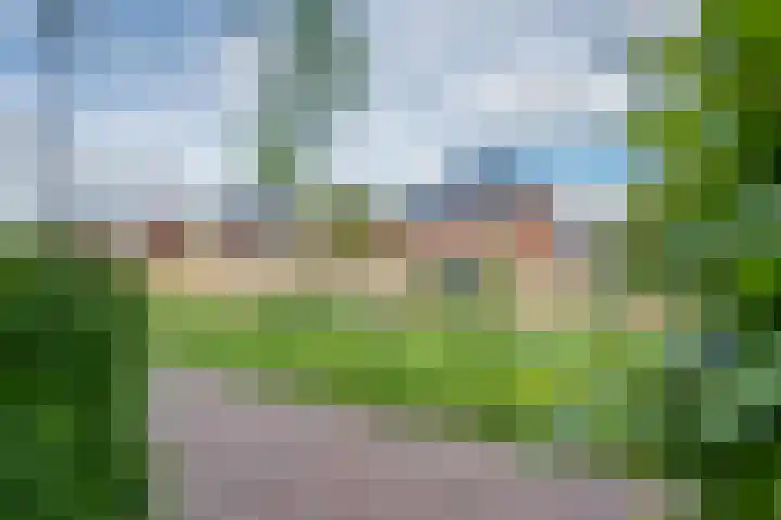 Honderdspint 9 Haren Gn thumbnail 8