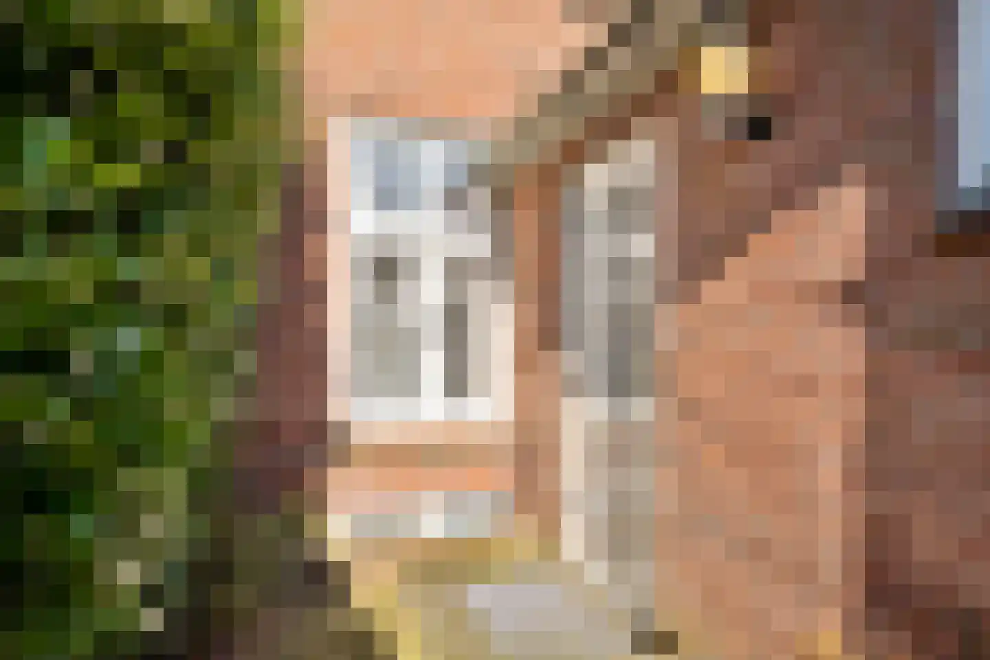 Hondevoort 16 Eibergen thumbnail 30