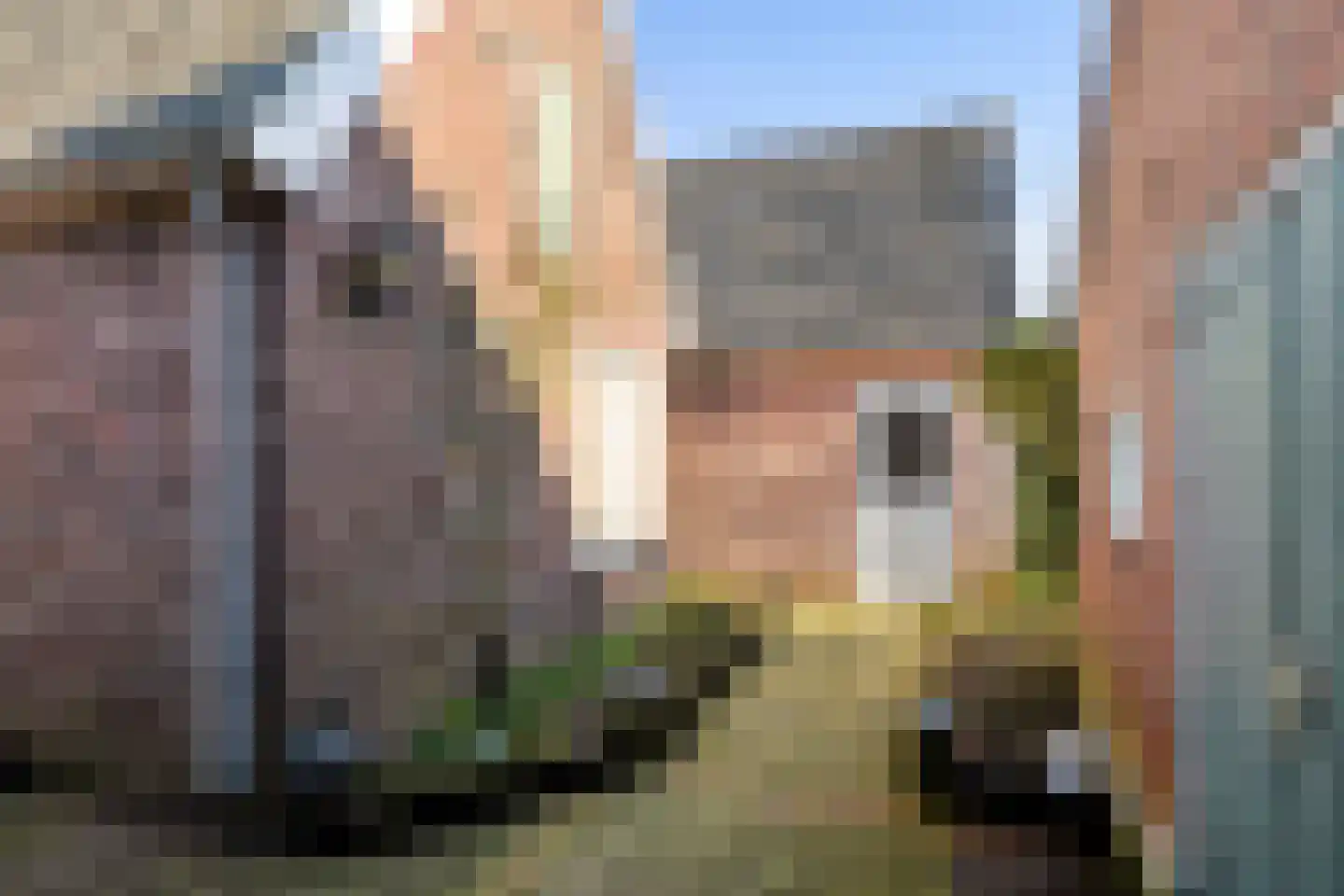 Hondevoort 16 Eibergen thumbnail 31