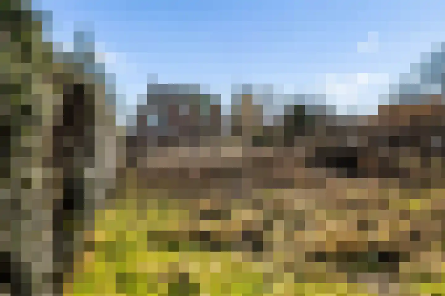 Hondevoort 16 Eibergen thumbnail 37