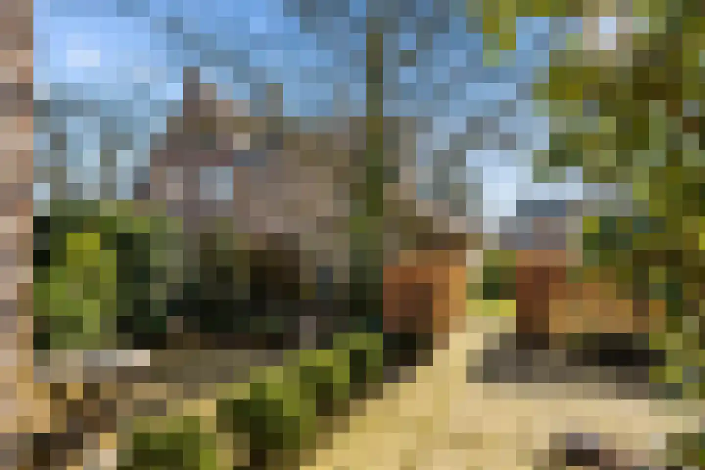 Hondevoort 16 Eibergen thumbnail 40