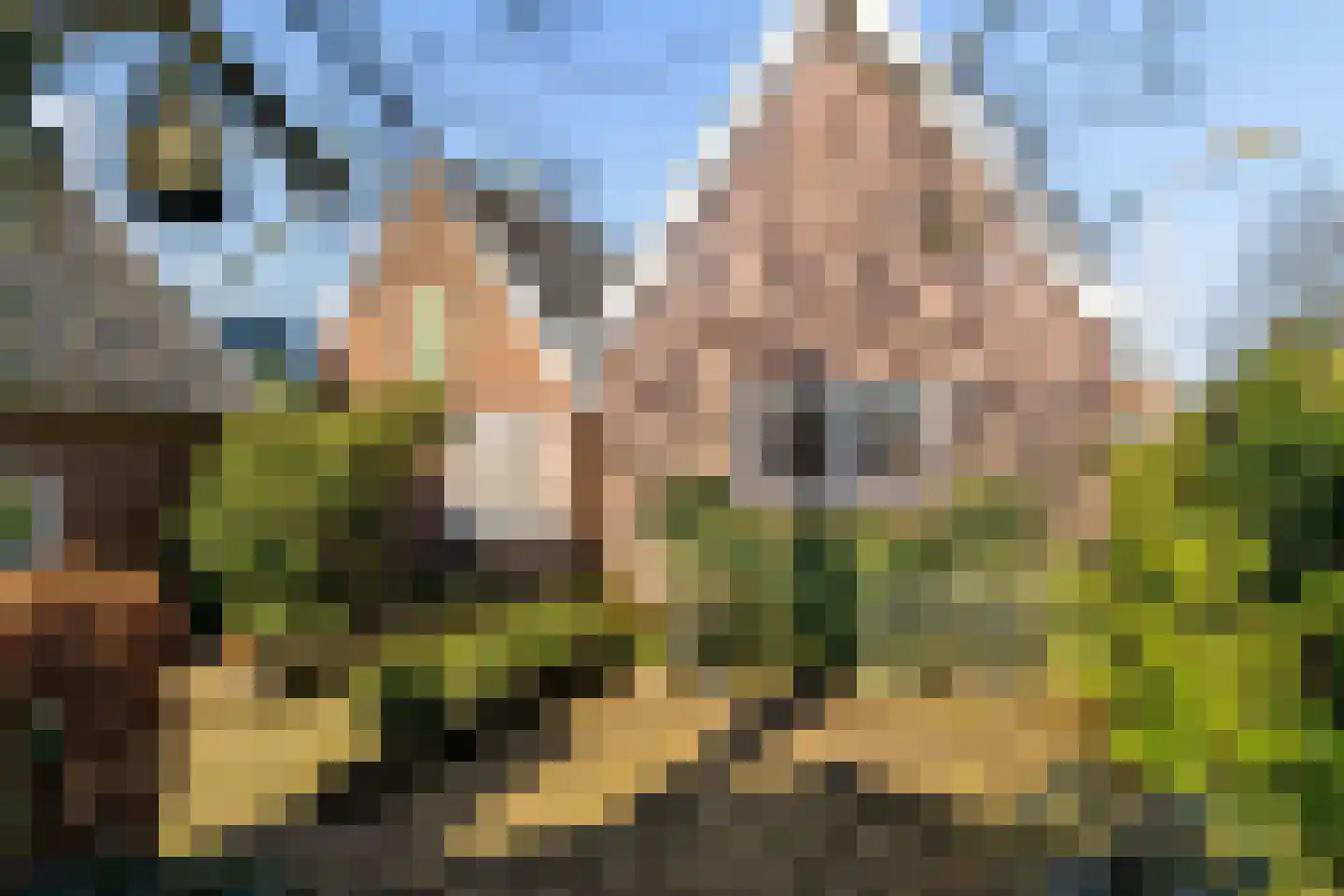 Hondevoort 16 Eibergen thumbnail 45