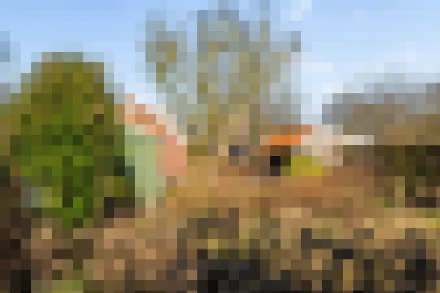 Hondevoort 16 Eibergen thumbnail 46
