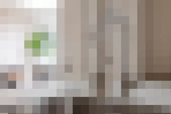 Hondevoort 3 Eibergen thumbnail 13