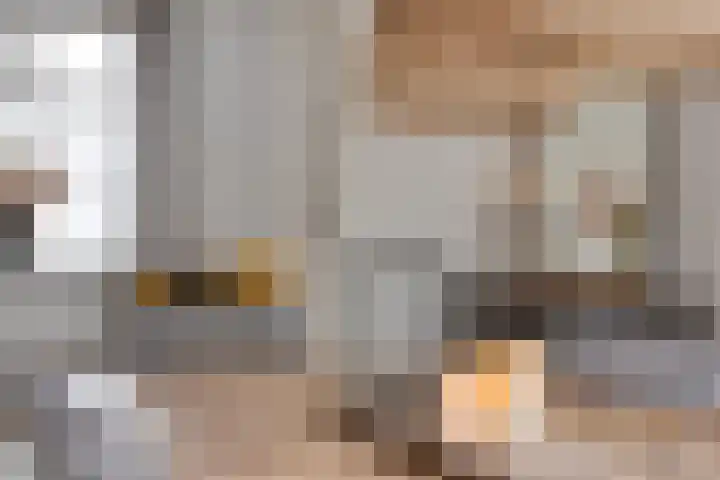 Hondevoort 3 Eibergen thumbnail 16