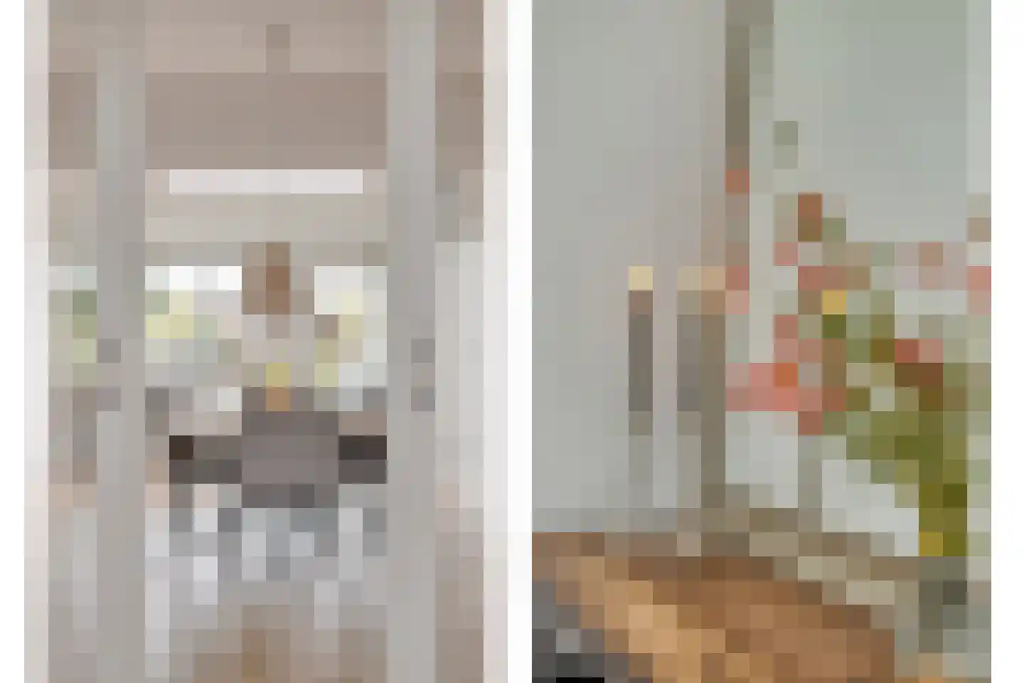 Hondevoort 3 Eibergen thumbnail 17