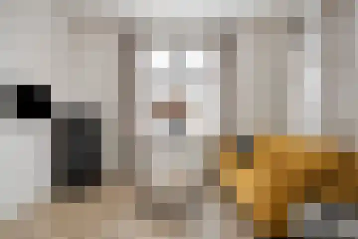 Hondevoort 3 Eibergen thumbnail 18