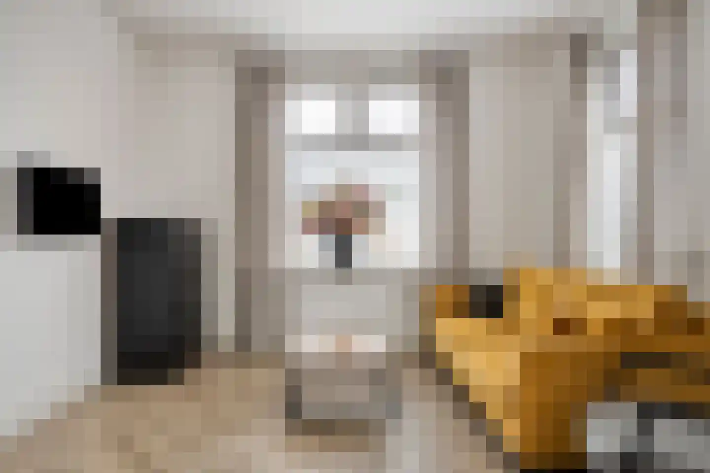 Hondevoort 3 Eibergen thumbnail 18